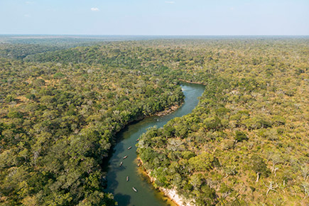 Natureza volta a respirar no Camboja